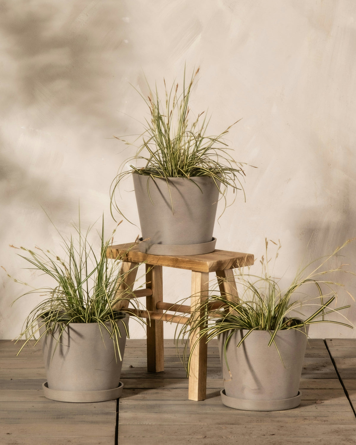 Indoor and Outdoor Plant Stand Guide: How to Choose the Right Style for Your Space