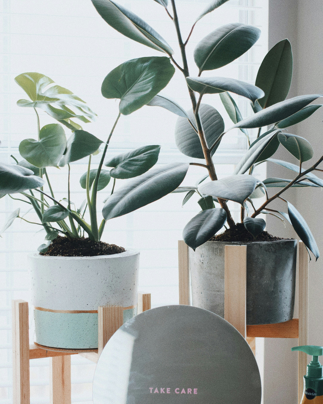 Adjustable Plant Stands: When Flexible Height and Width Are Most Useful