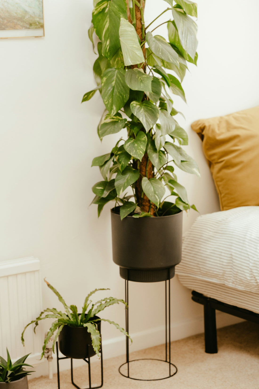 Plant Stands with Leveling Feet: How They Help on Uneven Floors and Patios