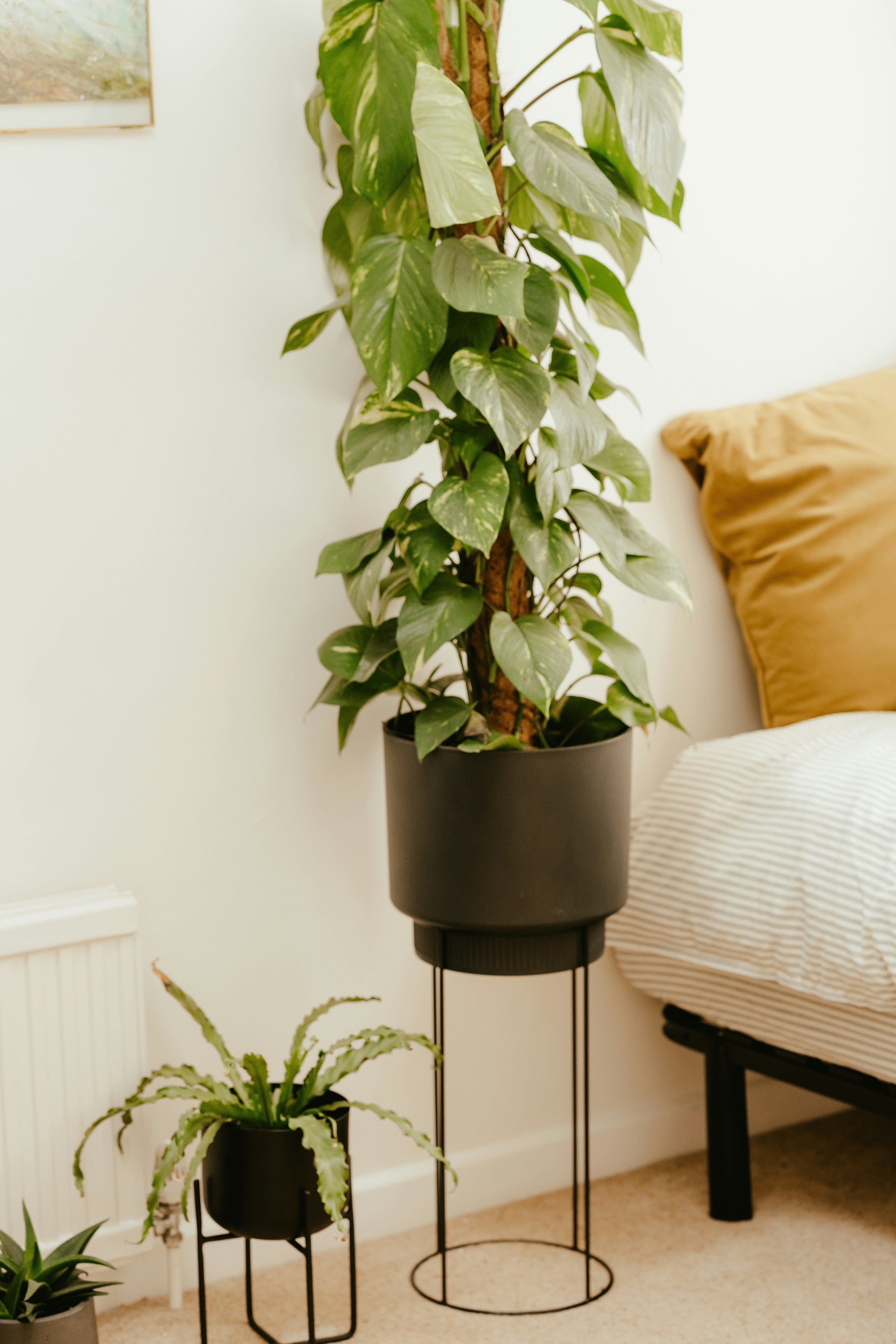Plant Stands with Leveling Feet: How They Help on Uneven Floors and Patios
