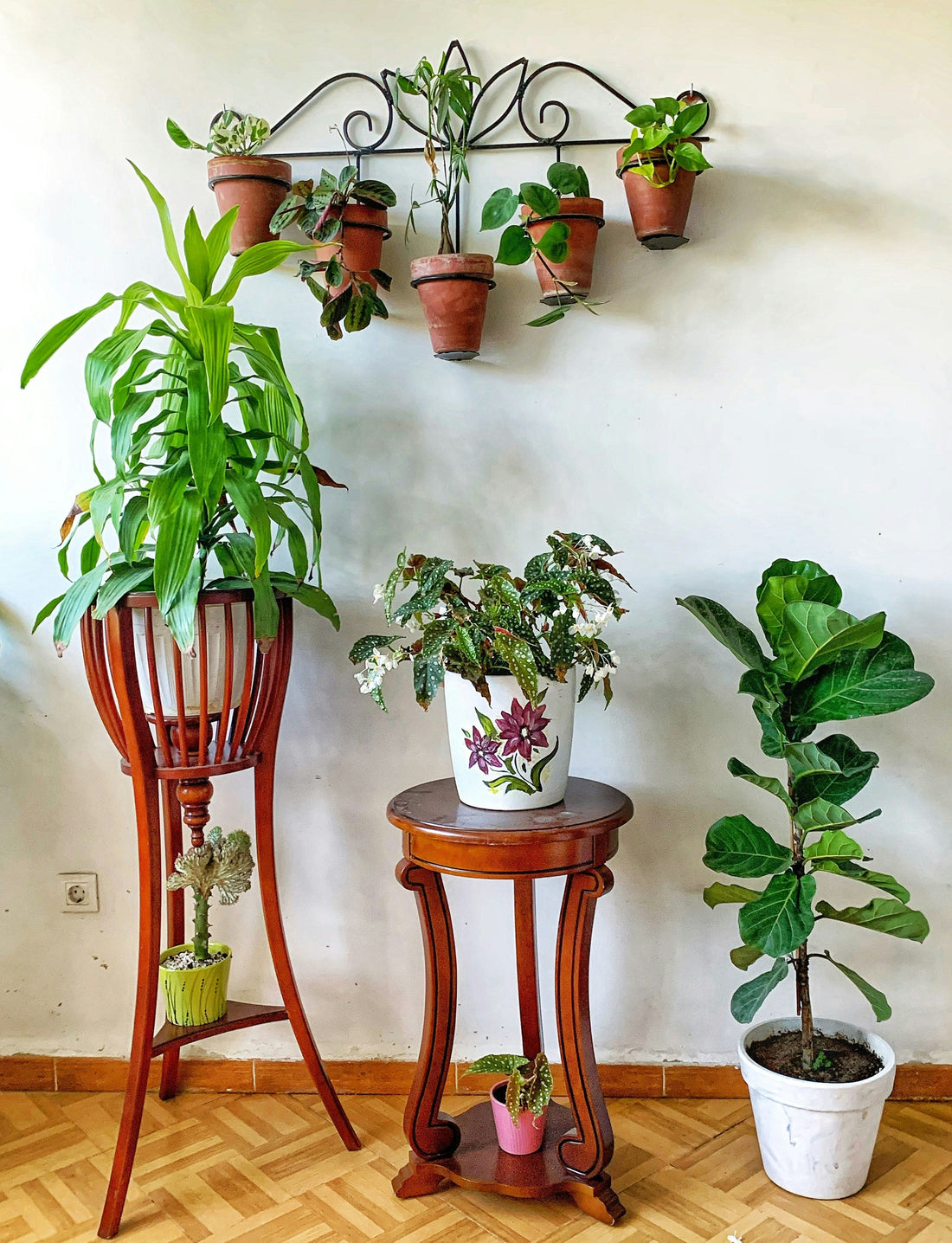 How to Use Matching Plant Stands Without Making a Room Look Repetitive