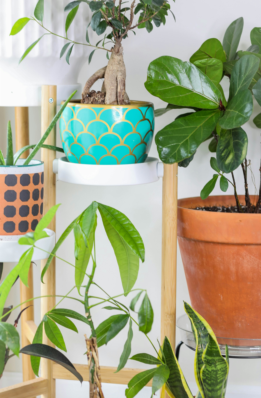 How to Choose the Right Plant Stand Height for Indoor Pots