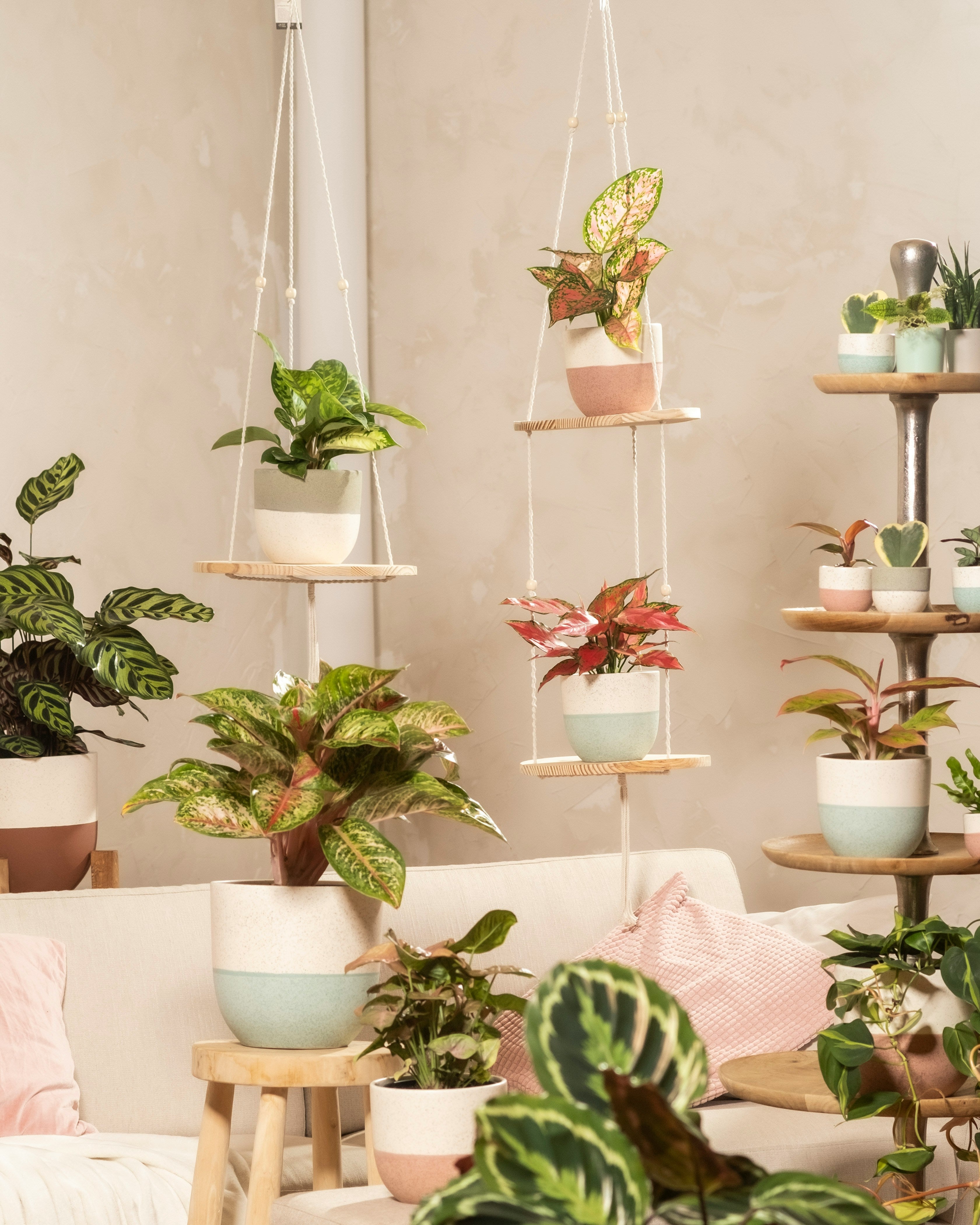 Ladder Plant Stands: How to Arrange Pots for a Balanced Tiered Look