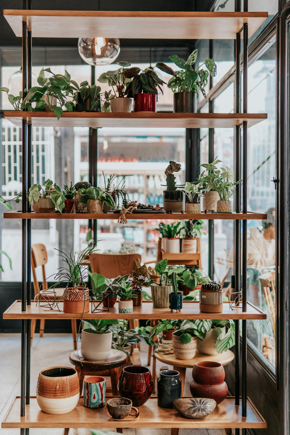 Plant Shelves for Multiple Pots: How to Prevent Overcrowding