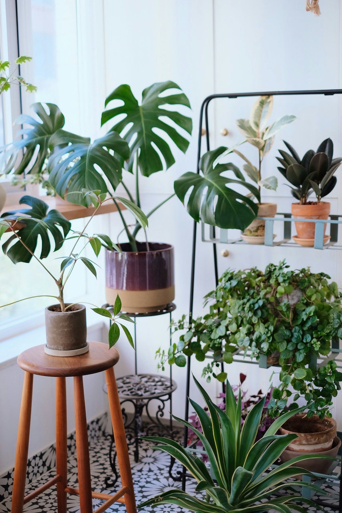 Three-Tier Rolling Plant Stands: How to Balance Tall and Trailing Plants