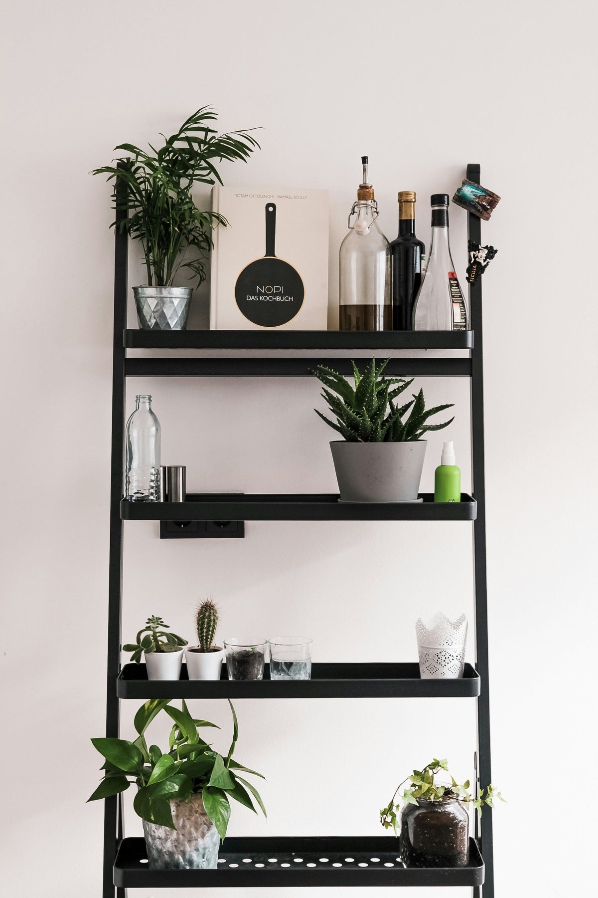 Mobile Plant Display Shelves: How to Move Plants Safely Between Indoor and Outdoor Areas