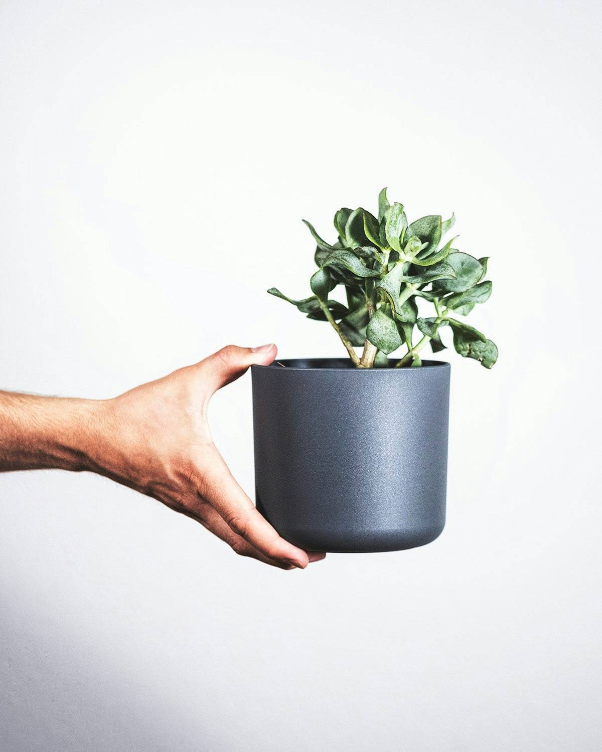 Rolling Plant Stand Safety: Common Mistakes to Avoid with Heavy Planters