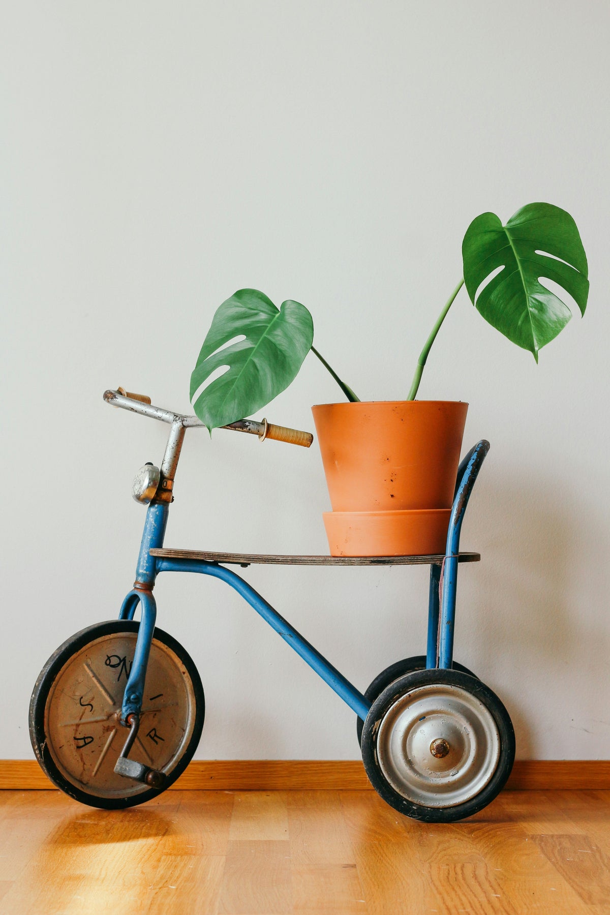 How to Measure Doorways and Floor Space Before Buying a Large Wheeled Plant Stand