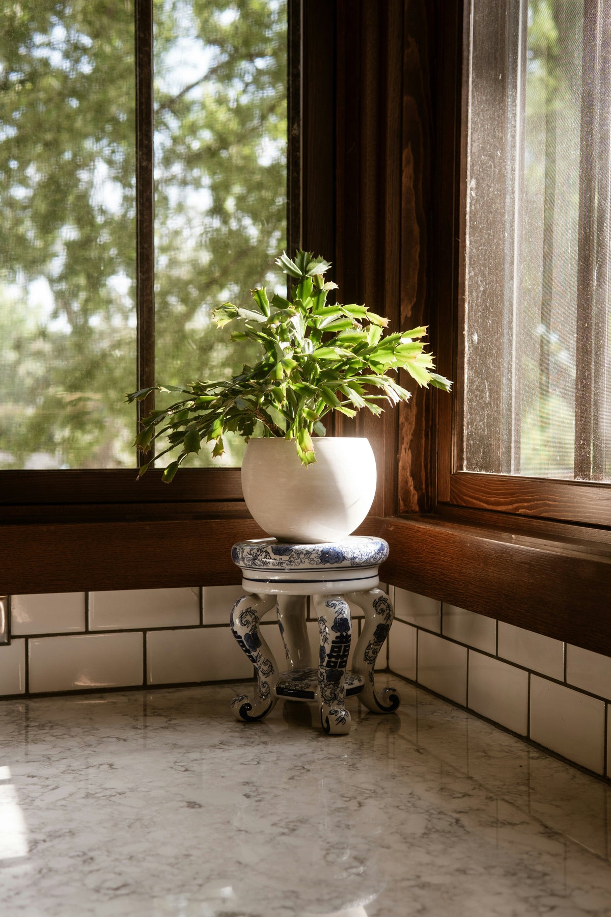Vintage-Inspired Plant Stands: How to Add Character Without Overdecorating