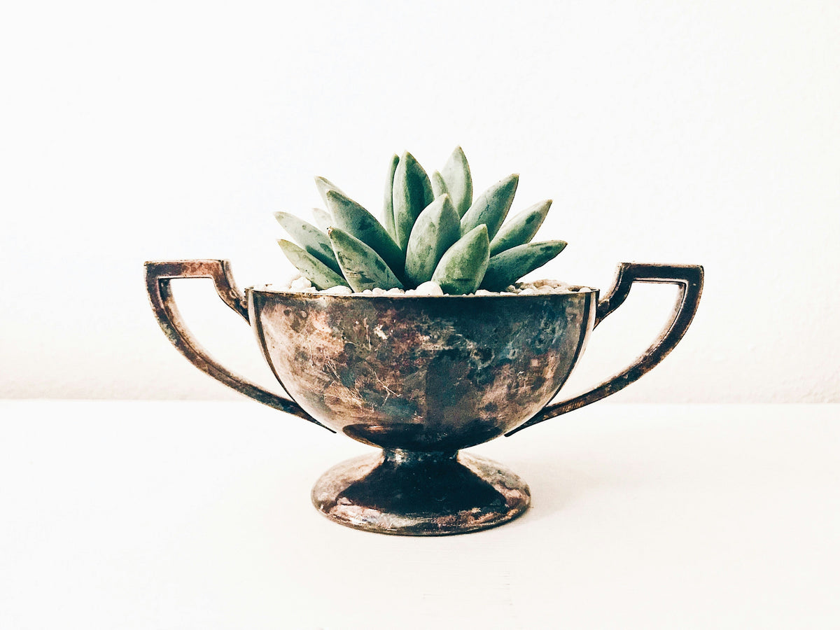 Bronze Plant Stands: How to Create a Warm Traditional Garden Look
