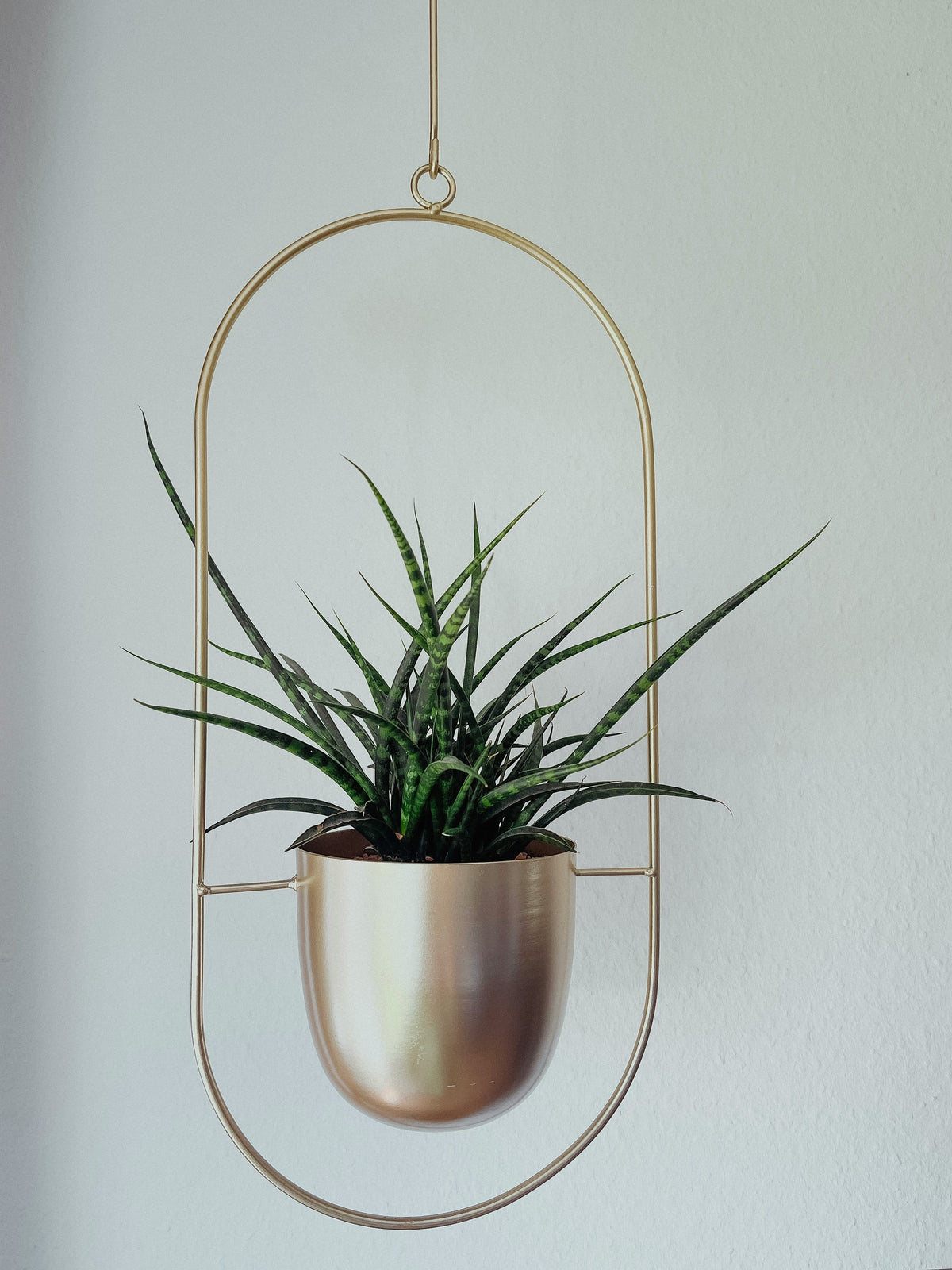 Gold Plant Stands: How to Use Metallic Accents in a Plant Display