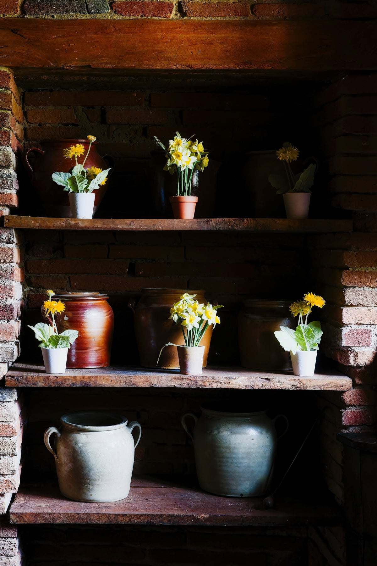 Oval Plant Stands: Where Their Shape Works Best in Entryways and Living Rooms