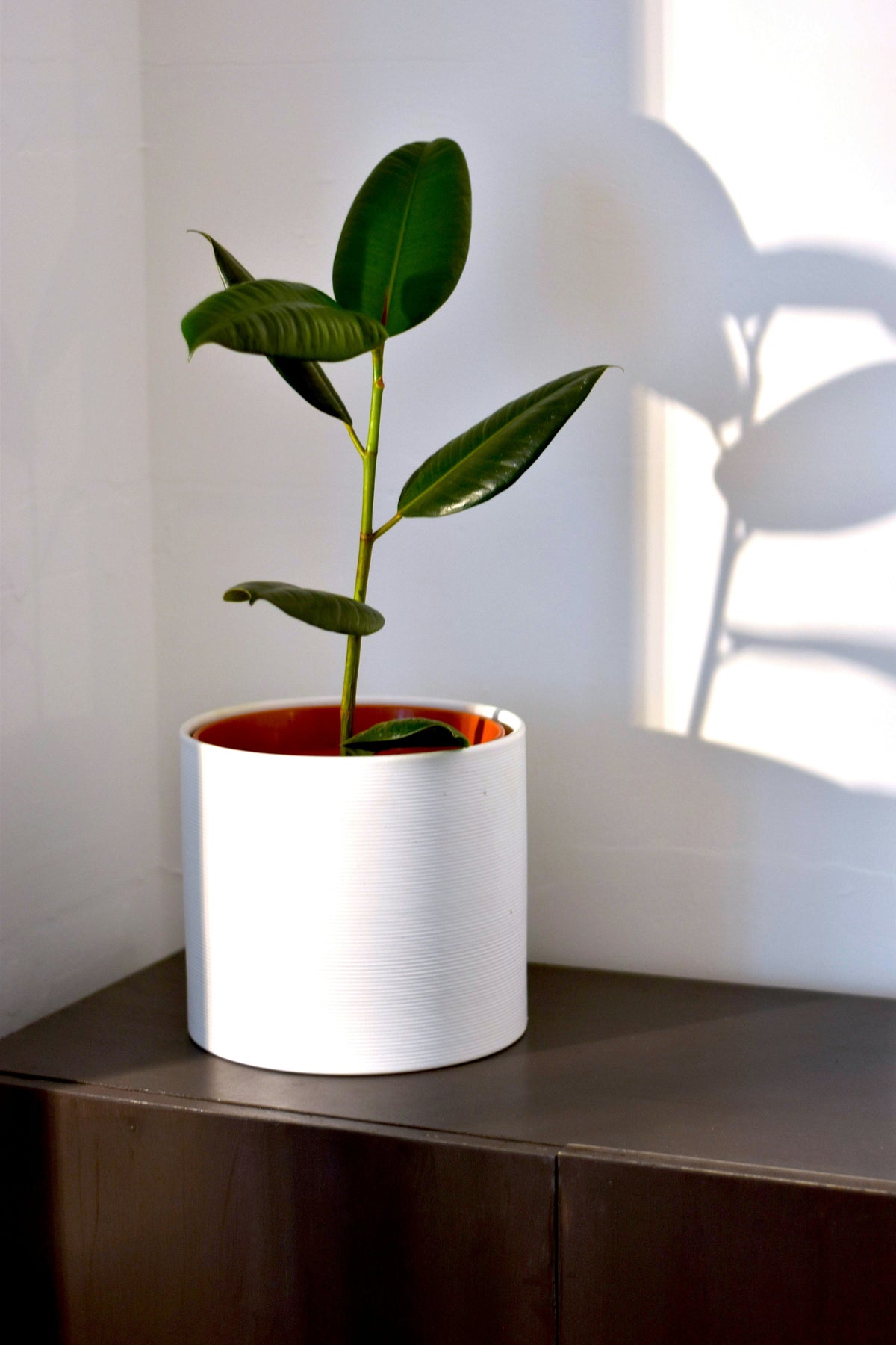 Corner Flower Pot Shelves: How to Make Small Spaces Feel More Finished