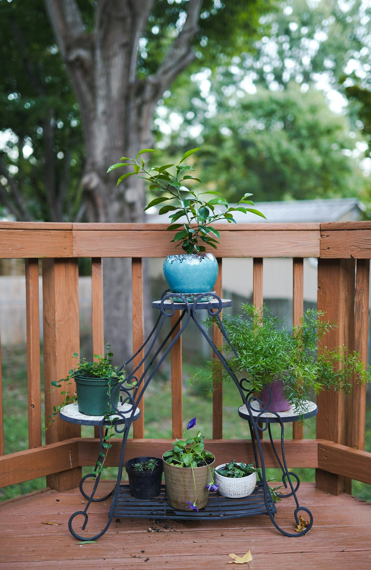 Wood and Metal Plant Stands: How to Mix Materials Without Clashing  English SEO Keywords: wo