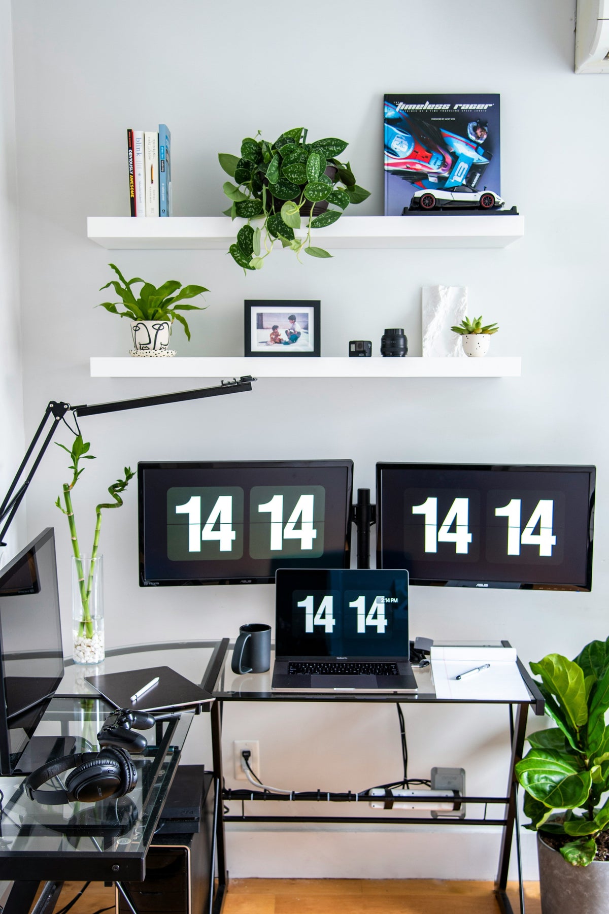 Small Plant Risers for Desks and Shelves: Size, Balance, and Surface Protection
