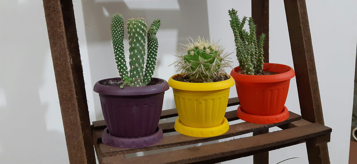 Foldable Plant Stands: What to Check for Storage, Stability, and Everyday Use
