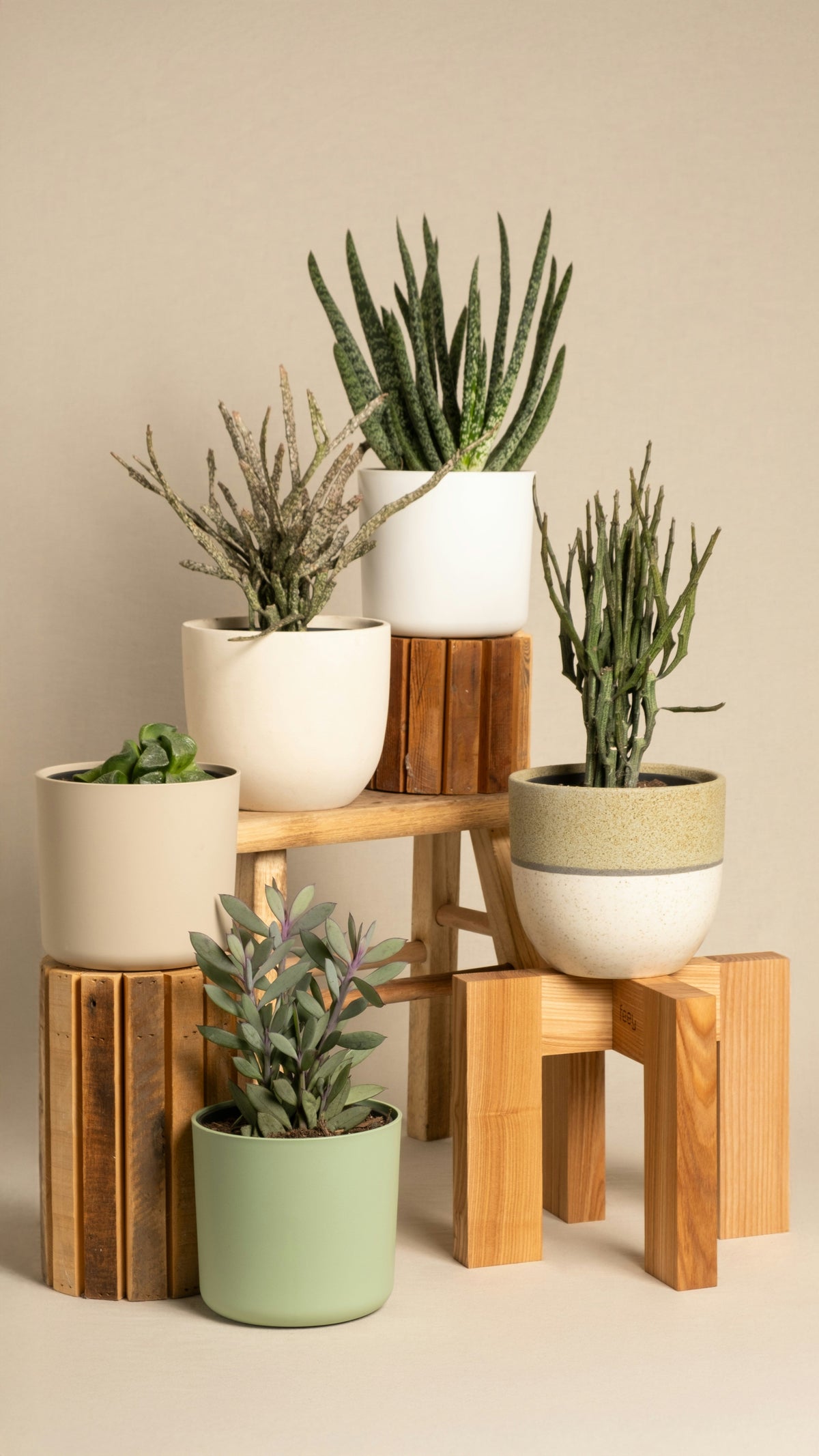 Stackable Plant Stands: How to Build a Flexible Multi-Level Display