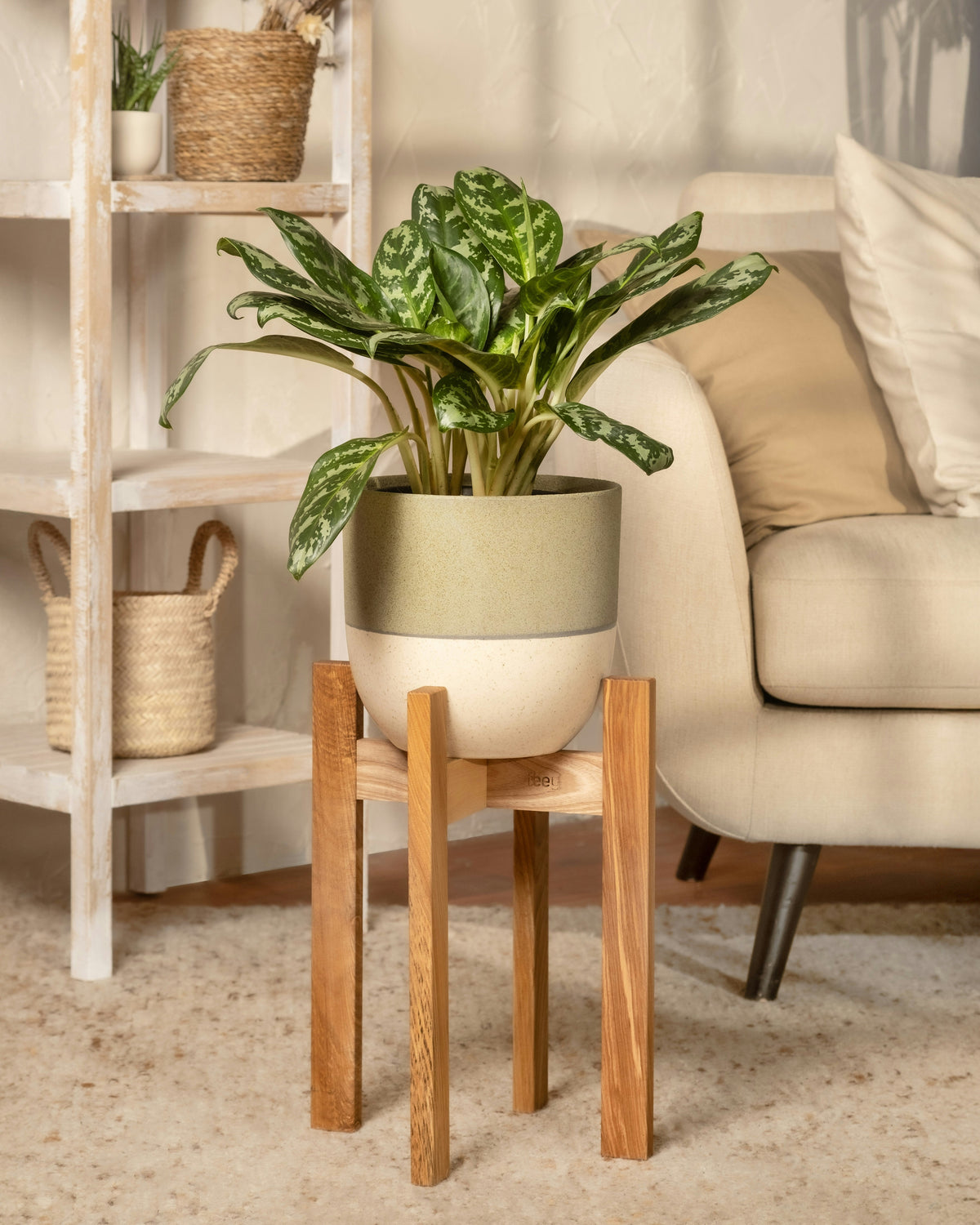 Plant Stand Sets for Multiple Pots: How to Create Cohesion with Different Plant Sizes  English SEO Keywords: plant stand set, multiple p