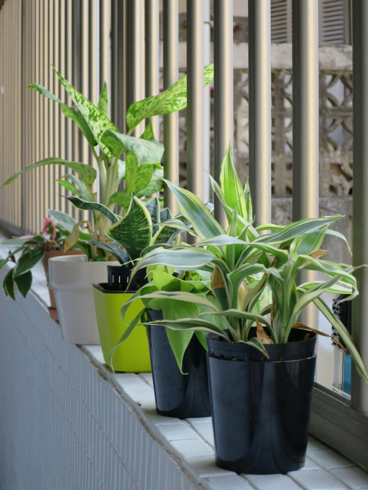Space-Saving Plant Stands for Balconies: Layout Tips for Narrow Outdoor Areas