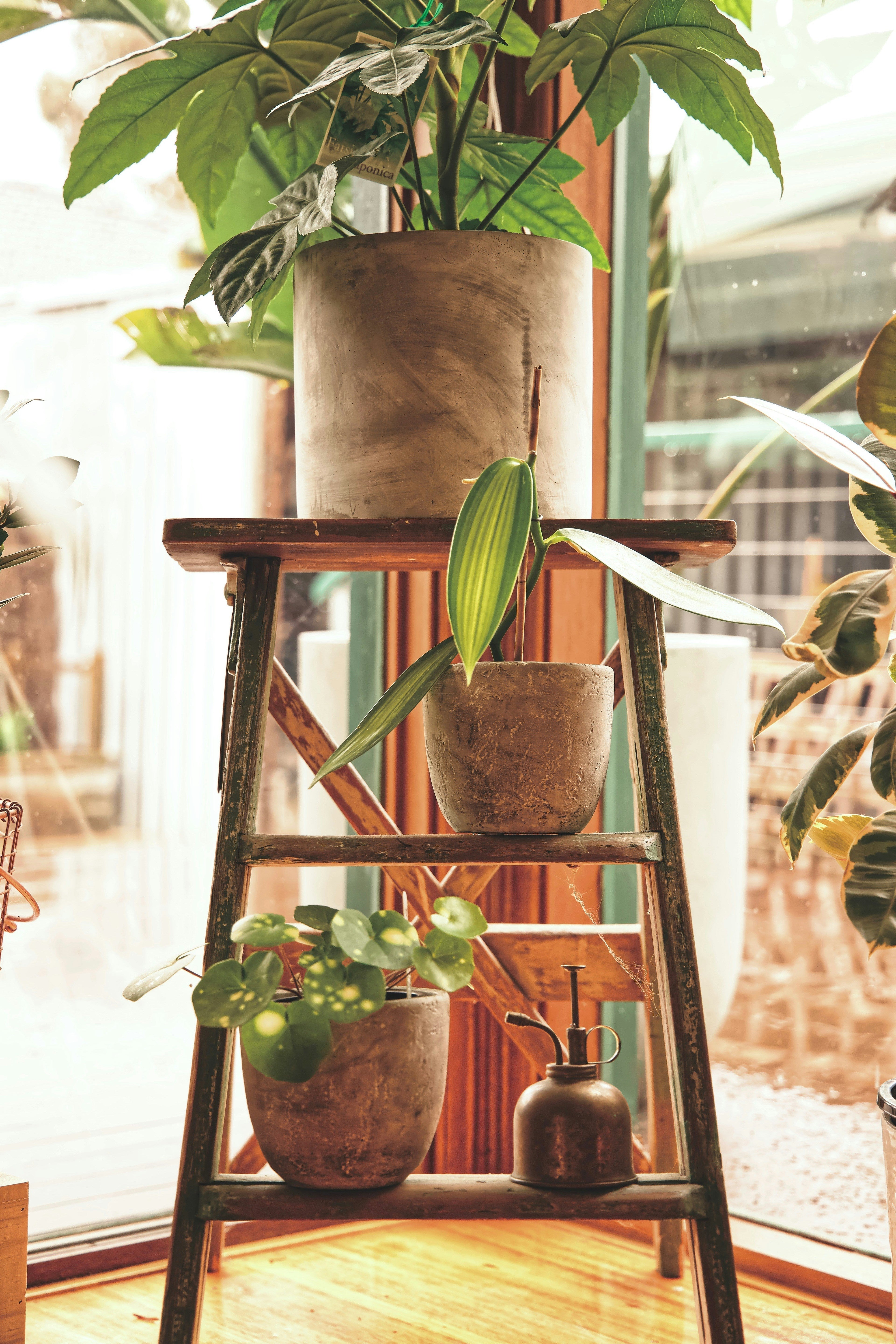 Heavy-Duty Plant Stands: How to Match Stand Capacity to Pot Weight