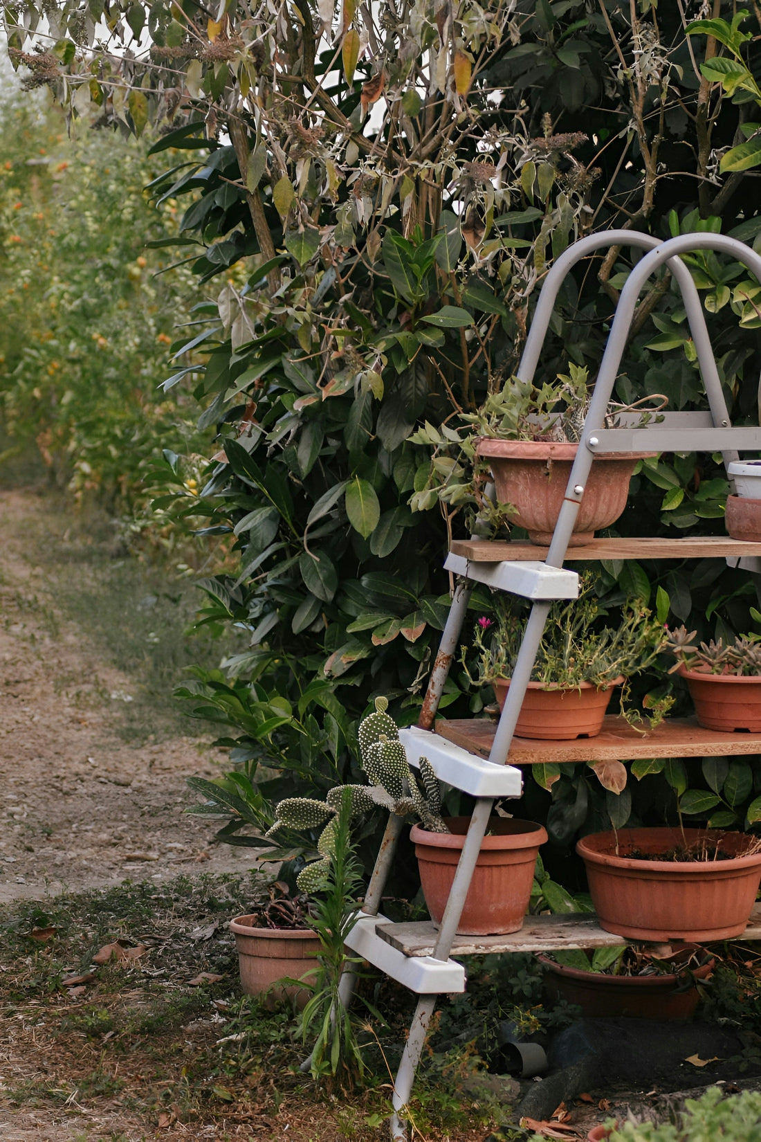 Rust-Resistant Plant Stands: What Indoor and Outdoor Gardeners Should Know