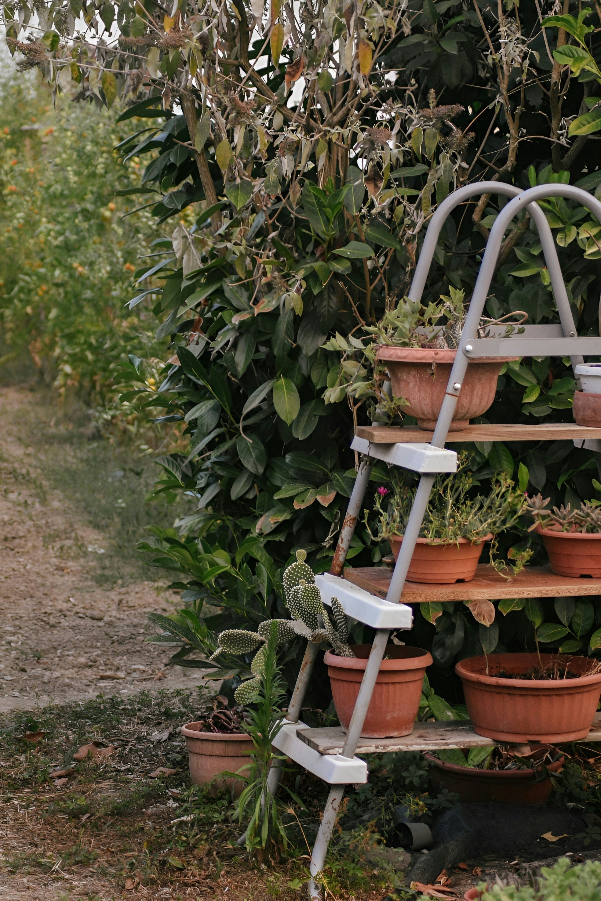 Rust-Resistant Plant Stands: What Indoor and Outdoor Gardeners Should Know