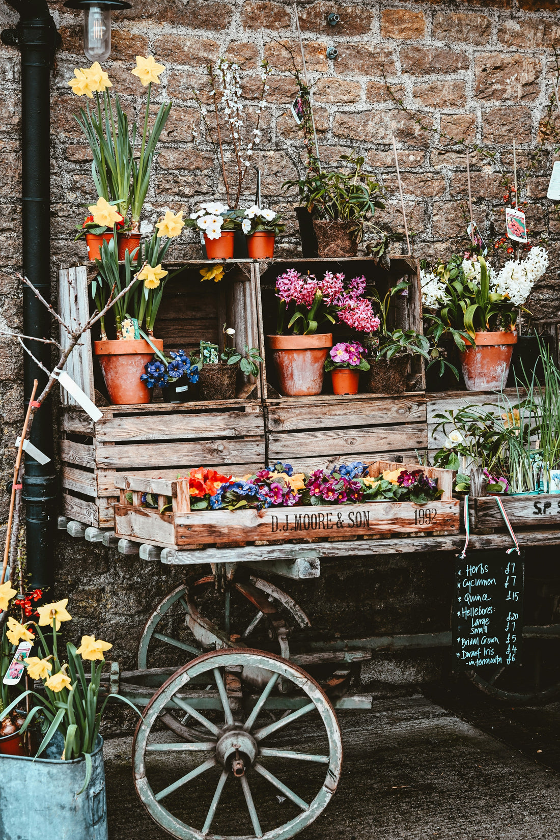 How to Measure a Flower Pot Before Buying a Plant Stand