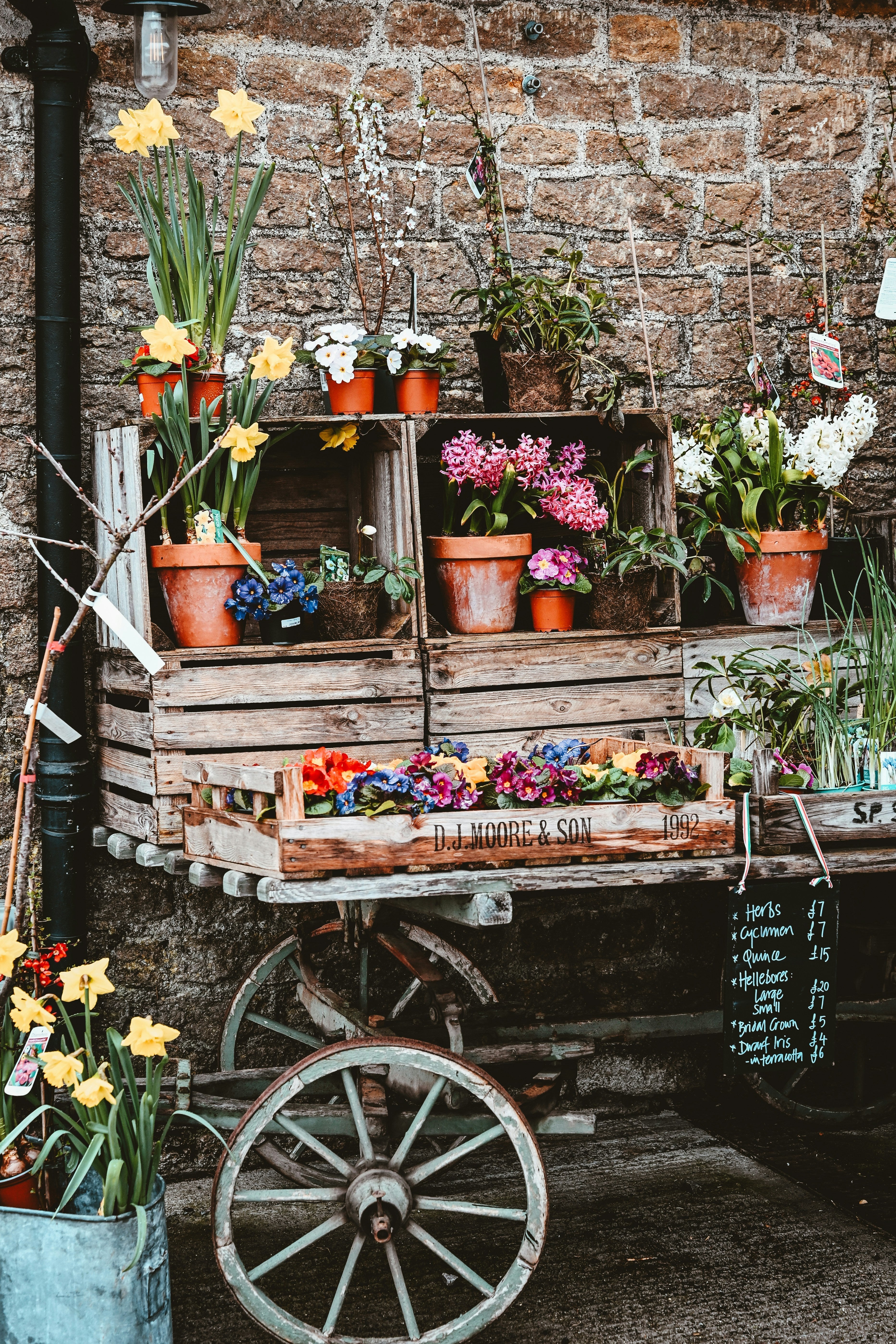 How to Measure a Flower Pot Before Buying a Plant Stand