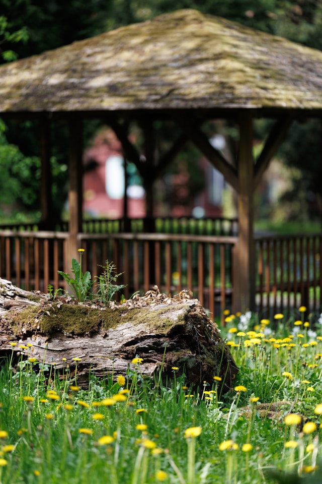 What to Consider Before Buying an Outdoor Gazebo