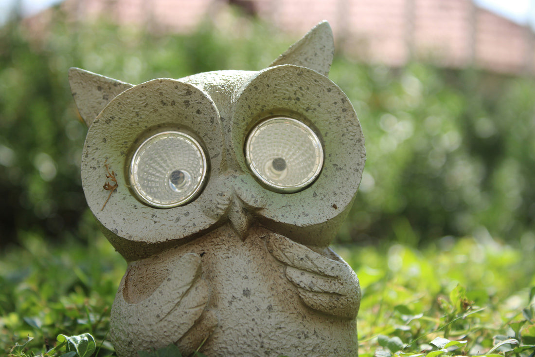 Solar Garden Animal Statues: How to Choose Decorative Outdoor Figurines with Built-In Lights
