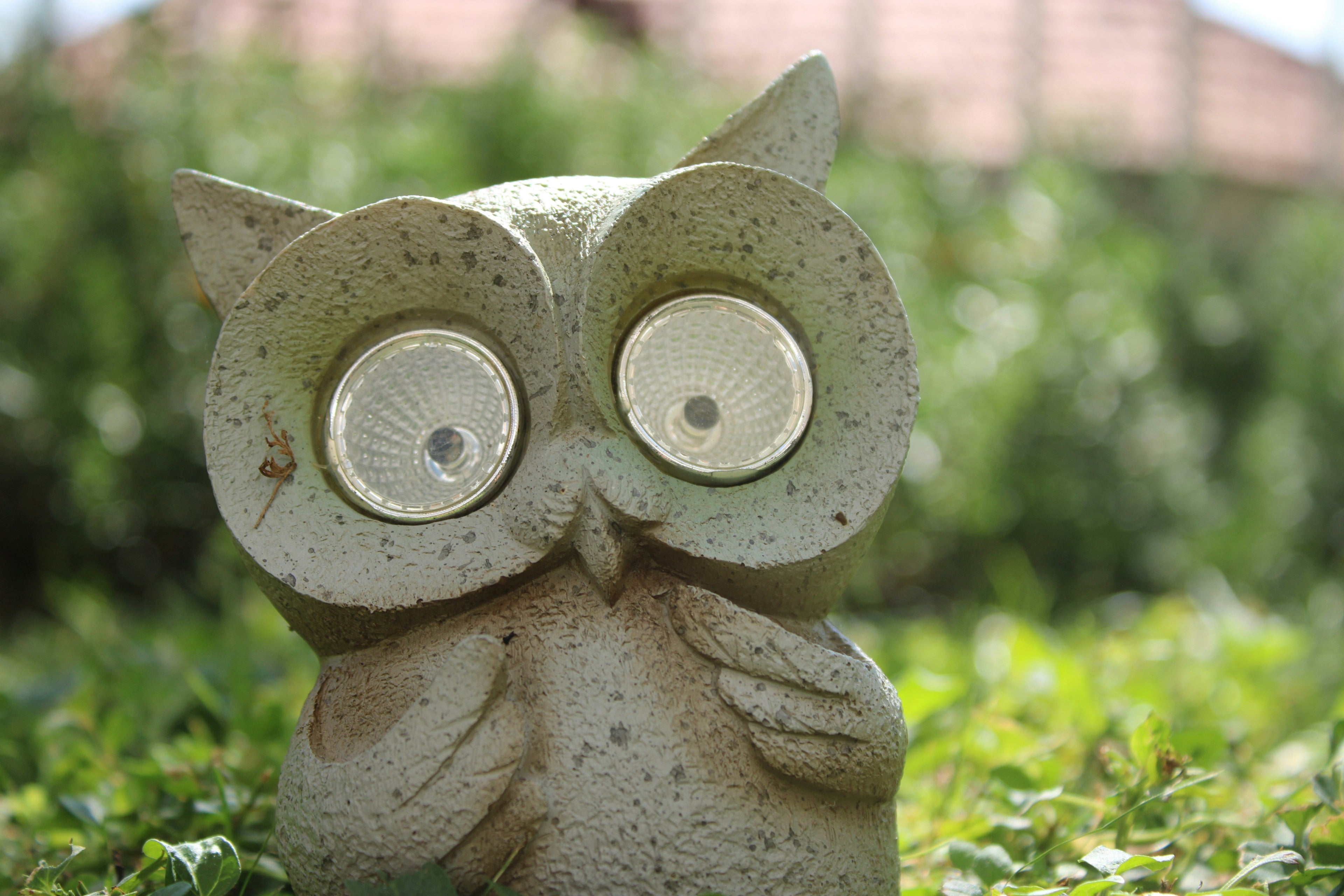 Solar Garden Animal Statues: How to Choose Decorative Outdoor Figurines with Built-In Lights