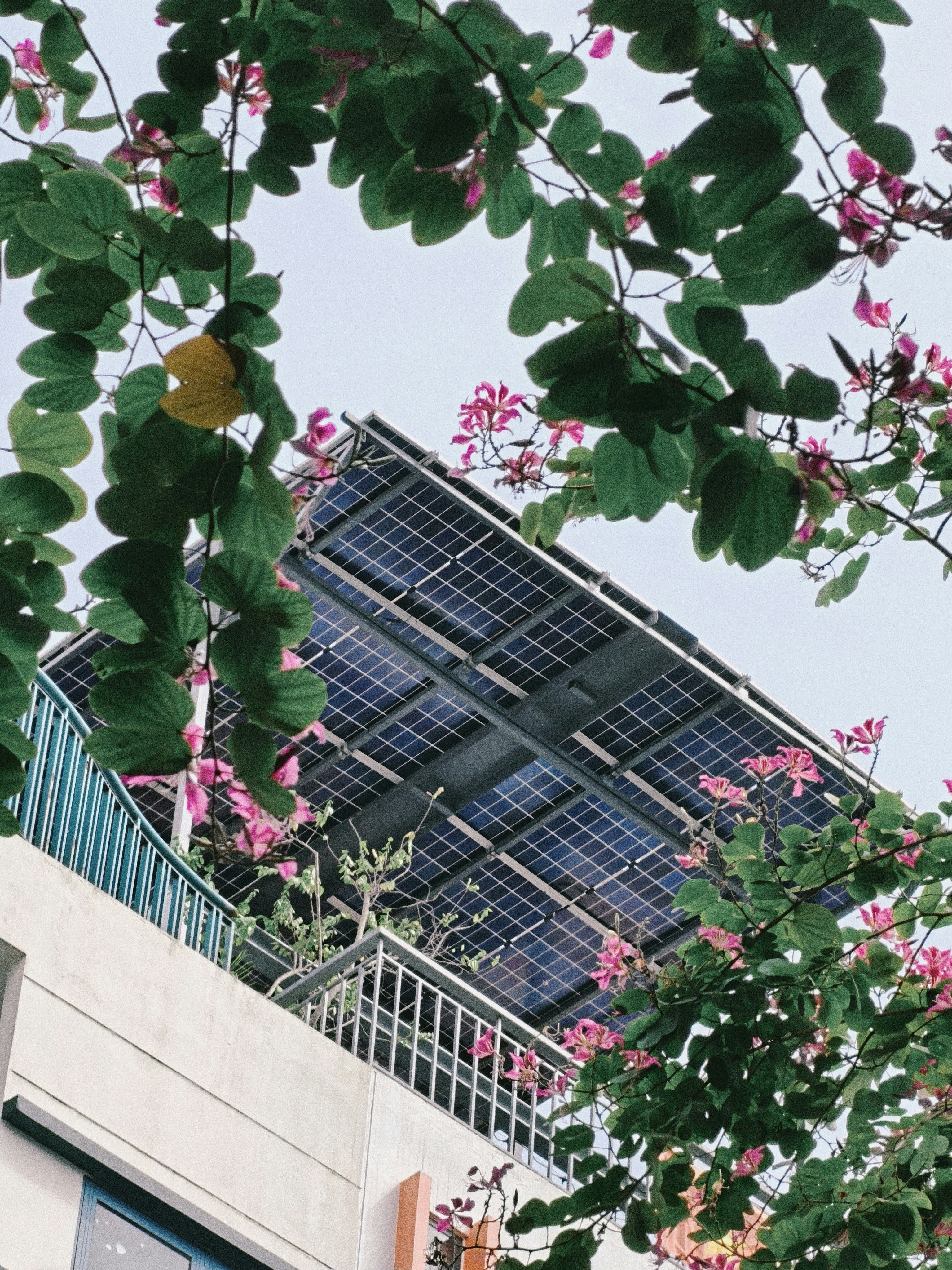 How to Place Solar Garden Statues for Better Daytime Display and Evening Ambience