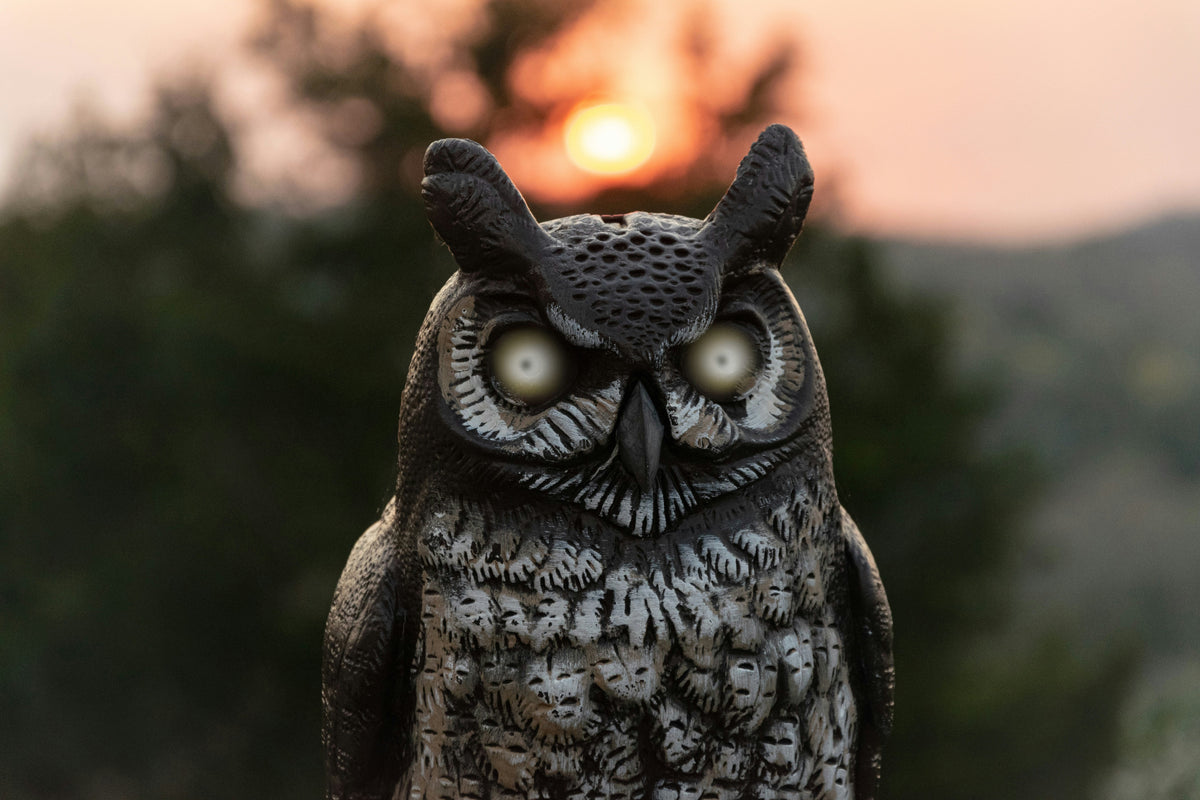 Owl Solar Garden Decor: How to Use Hanging and Welcome-Sign Designs in Outdoor Spaces