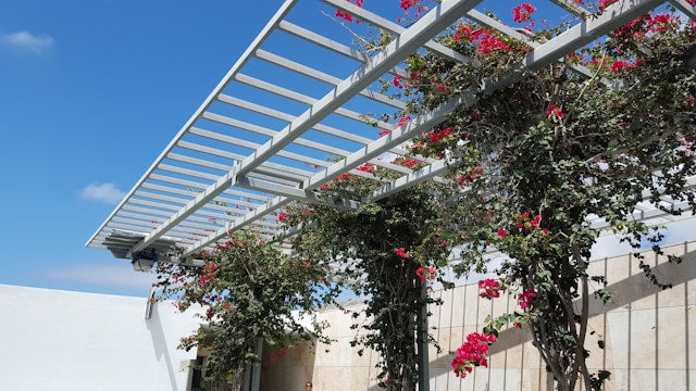 Wall Mounted Pergola Ideas for Small Patios