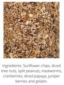 JCs Wildlife Bugs, Nuts and Berries Premium Bird Seed Small Cylinder, 1.5 lb (2 Cylinder)