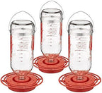 Best-1 Glass Hummingbird Feeders, 32 oz., Pack of 3