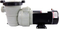 Rx Clear Dorado 1 HP Dual Port Pump | Above-Ground Swimming Pool Pump | 115V 7.3 Amps | See-Through Strainer Cover | Energy Efficient | Low Maintenance