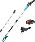 8-Inch Cordless Pole Saws 20V Electric Pole Saw for Tree Trimming Pole Chainsaw with 2.0Ah Battery & Charger 9.5 Ft MAX Reach Pole Chainsaw for Branch Cutting