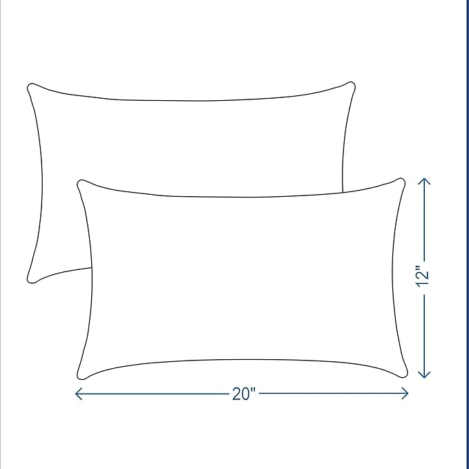 ADLIVWYD Lumbar Pillows for Indoor Outdoor uses,Waterproof Removable Cover with Zipper Outdoor Pillows Set of 2 for Patio Furniture,12×20 Inch (Black Floral)