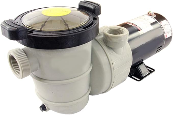 Rx Clear Dorado 2 HP Dual Port Pump | Above-Ground Swimming Pool Pump | 115V 12 Amps | See-Through Strainer Cover | Energy Efficient | Low Maintenance