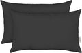 RSH DECOR: Sunbrella Lumbar Throw Pillows Set of 2 | 20" x 12" | Water and Fade-Resistant Performance Fabric | Outdoor Pillow Covers with Down-Alternative Inserts | Canvas Black