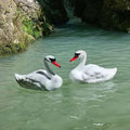 Floating Swan Decoy Pair, for Pond, Lake, & Pool Use, Anchor with Weights or Lawn Decoration, 1 Pair(Single Size 6.29 * 10.23 * 12.99 Inches)