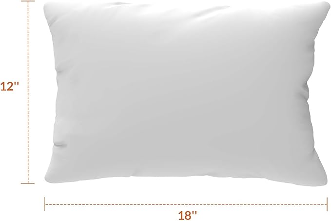 Covers & All Sunbrellla Outdoor Pillows for Patio Furniture, UV Fade Resistant & Waterproof Outdoor Sunbrella Lumbar Pillows, Set of 2 Inserts & Covers for Patios, Decks and Porches, Spectrum Graphite