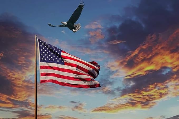 American Flag 4x6ft Long Lasting for Outside, Heavy Duty Nylon, Embroidered Stars, Brass Grommets, Perfect for Outdoor US Flags Show Your Patriotism