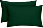 RSH DECOR: Lumbar Throw Pillows Set of 2 | 20” x 12" | All-Weather Spun Fabric | Water and Fade-Resistant | Outdoor Support Pillows for Patio Furniture | Hunter Green