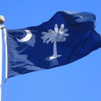 AMZFLAG South Carolina Flag 3x5 feet Heavy Duty 3 Ply SC South Carolina State Flags, Thick Material Palmetto State Flags with 2 Brass Grommets