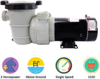 Rx Clear Dorado 2 HP Dual Port Pump | Above-Ground Swimming Pool Pump | 115V 12 Amps | See-Through Strainer Cover | Energy Efficient | Low Maintenance