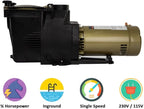 Rx Clear Ultimate Niagara 3/4 HP Pool Pump for Inground Swimming Pools | 56 Frame | 115/230 Volt | 8.5/4.3 Amps | Corrosion Proof | Large See-Through Strainer Cover