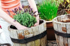 Gardenera Premium Moisture Control Potting Mix - Get The Perfect Balance of Moisture and Nutrients for Your Plants! - 20 Quart