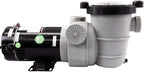 Rx Clear Dorado 1-1/2 HP Dual Port Pump | Above-Ground Swimming Pool Pump | 115V 9 Amps | See-Through Strainer Cover | Energy Efficient | Low Maintenance